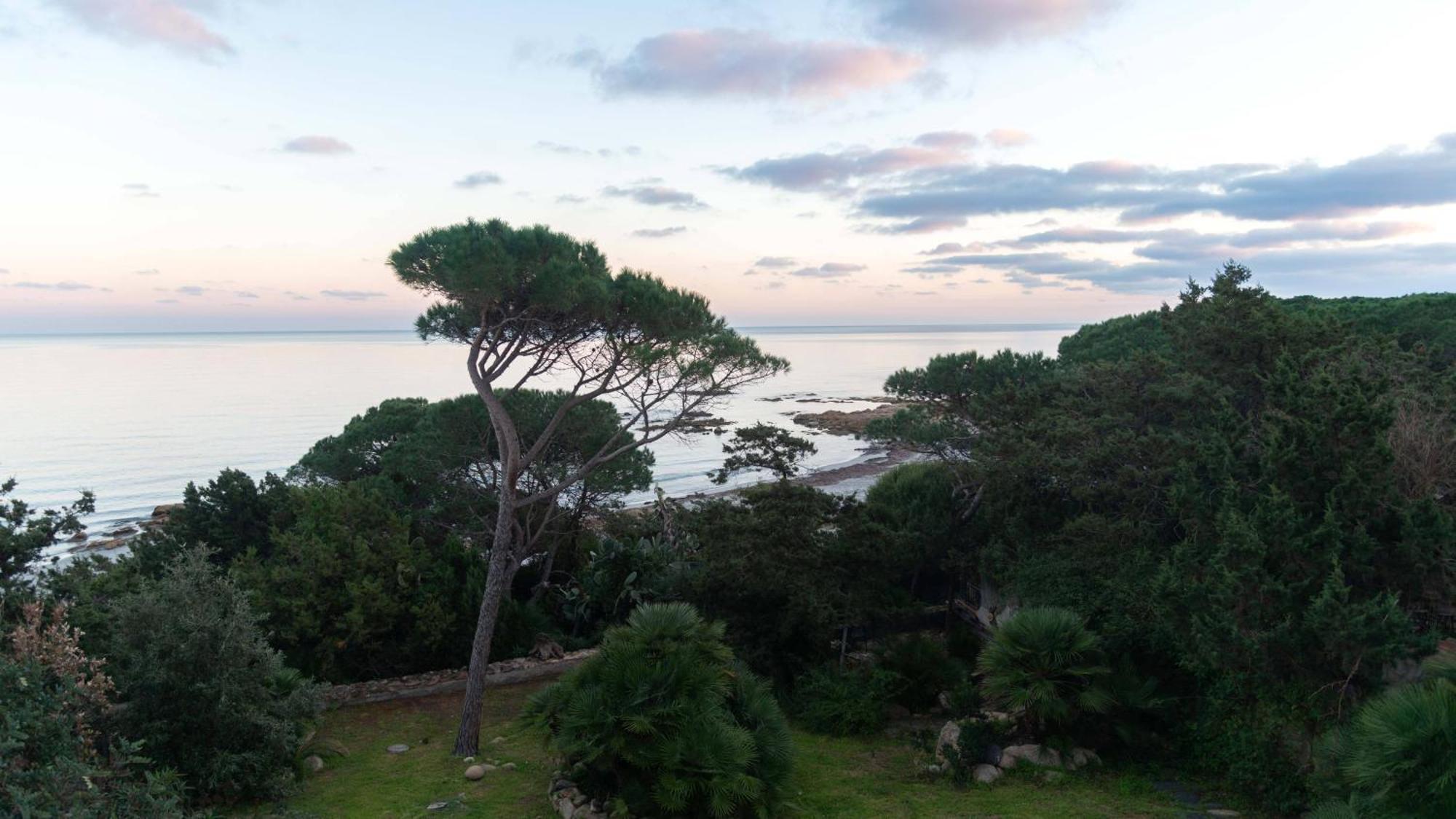 La Casa Sul Mare Lejlighed Cala Liberotto Eksteriør billede
