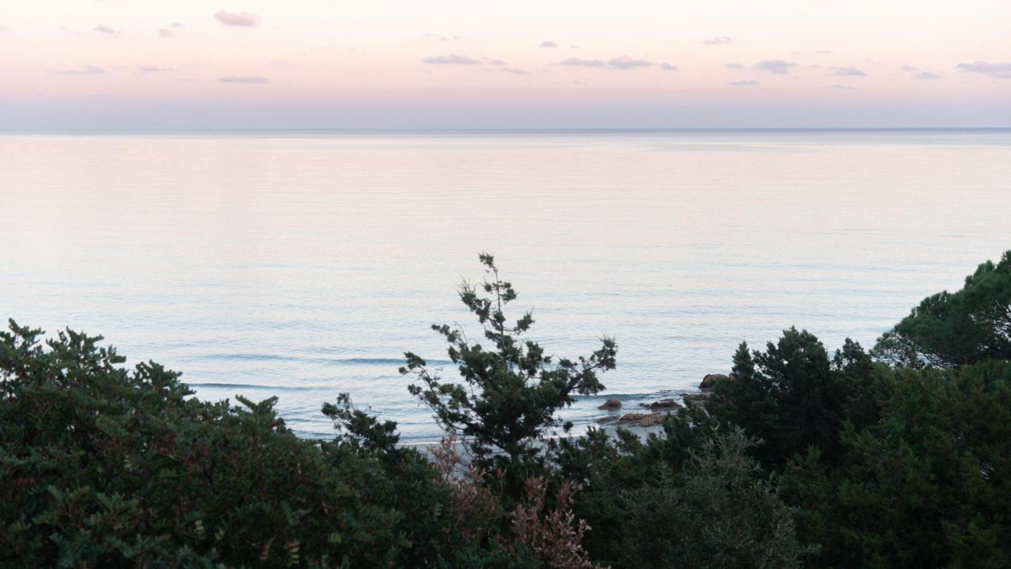 La Casa Sul Mare Lejlighed Cala Liberotto Eksteriør billede