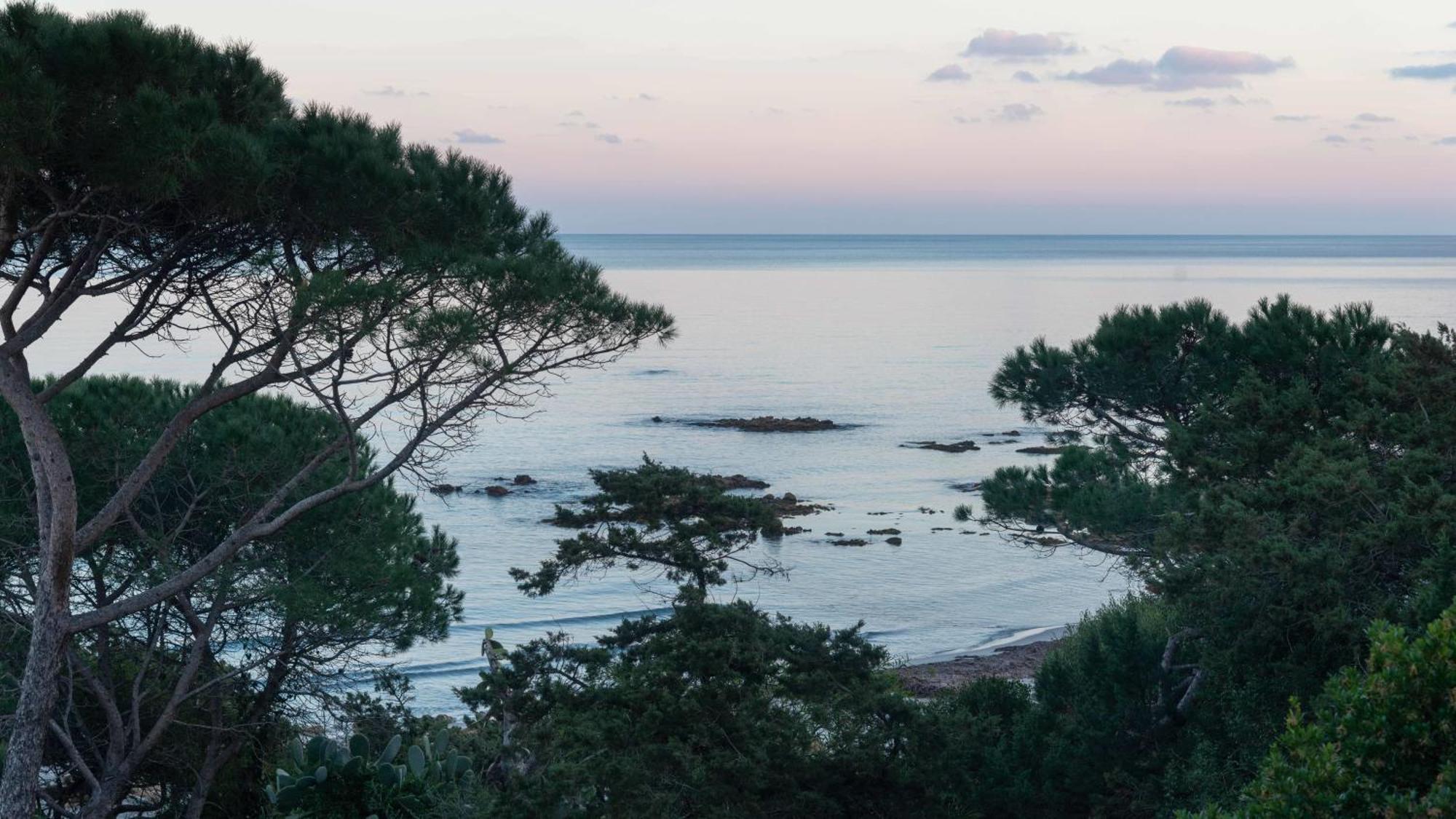 La Casa Sul Mare Lejlighed Cala Liberotto Eksteriør billede